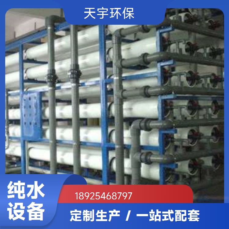 长期供应 货源充足 超纯水设备 2吨 可定制 天宇生产