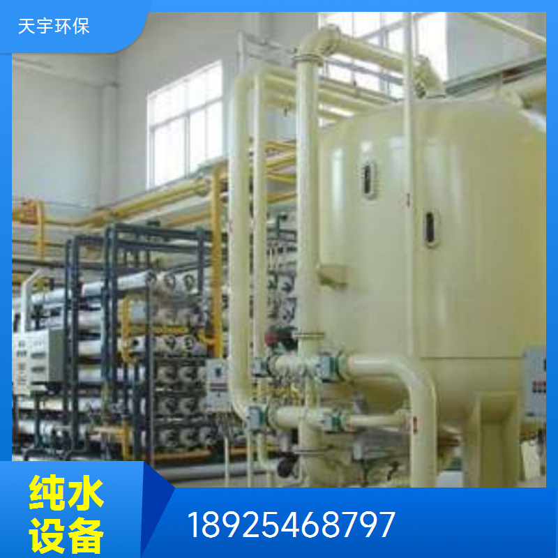 小型超纯水设备 双级反渗透设备装置 可定制 3吨 天宇环保