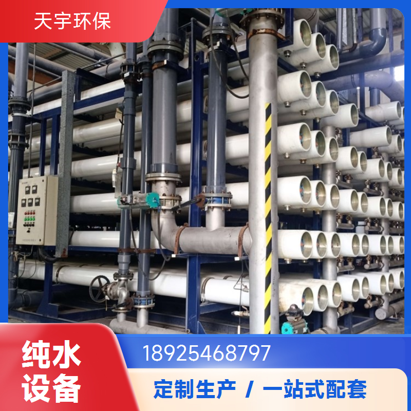 天宇环保 电子超纯水设备 可批发 调节方便 长期供应
