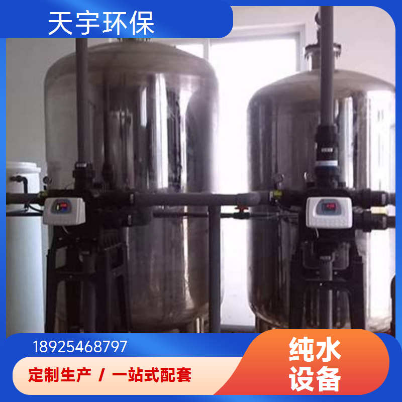 可定制 批发从优 源厂供应 电子超纯水设备 2吨 天宇环保
