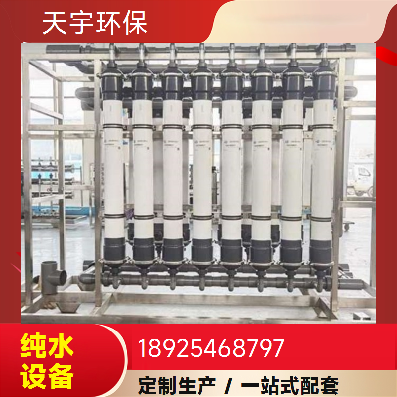 纯水设备 天宇环保 食品锅炉商用去离子纯净水处理设备