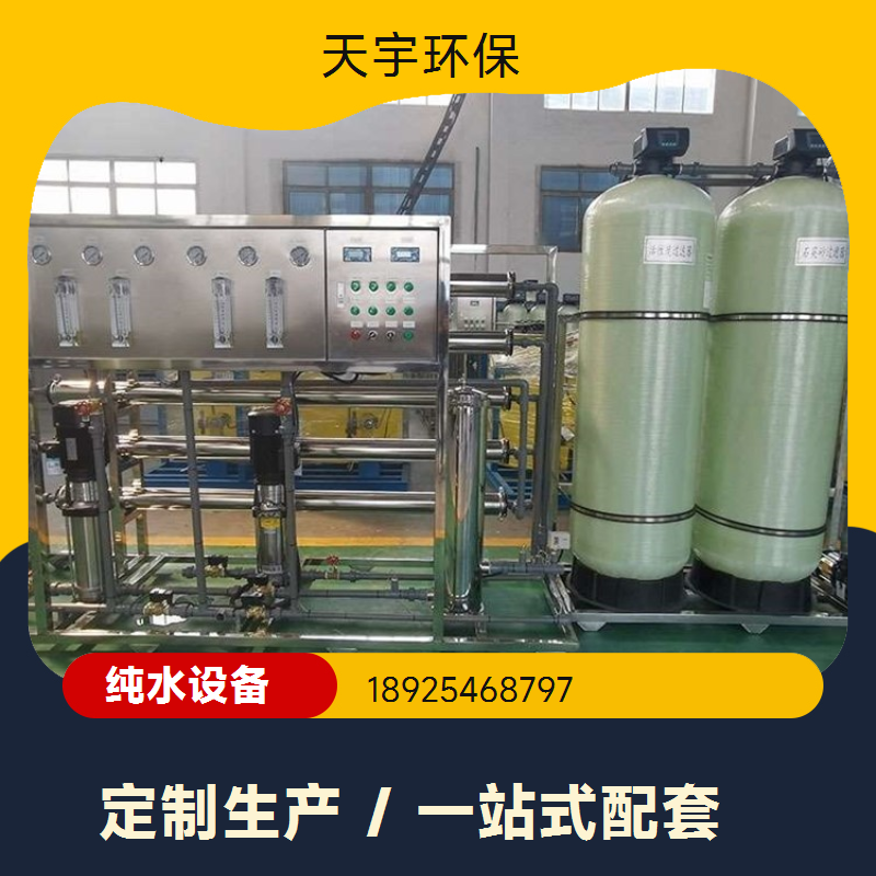 全自动智能反渗透商用工业纯水机 天宇环保 RO 超纯水设备