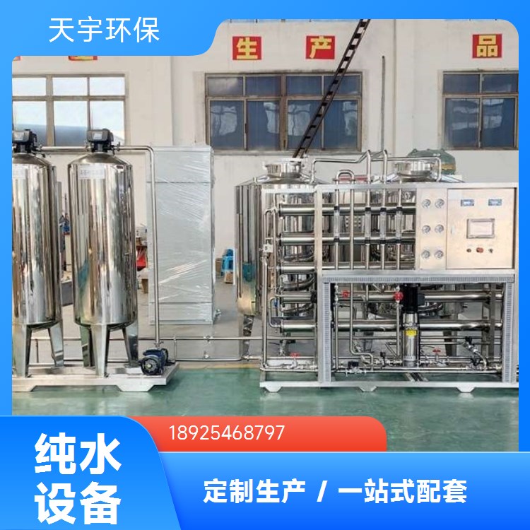 可定制 2吨 自动化超纯水设备 非标定制 服务完善 天宇生产