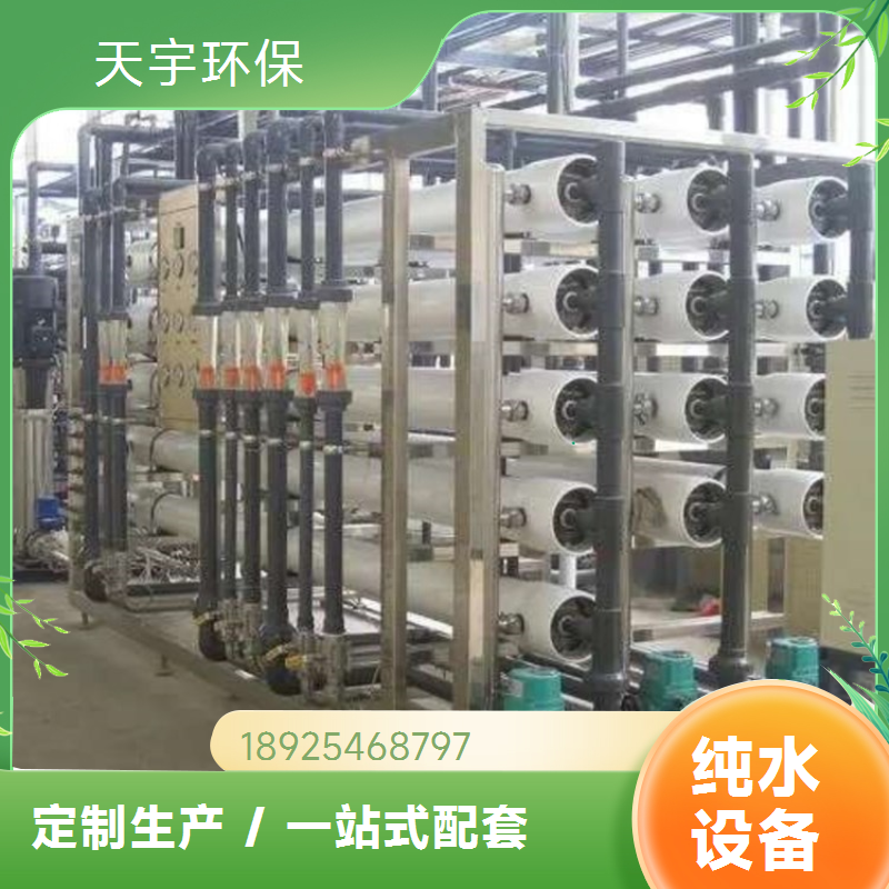 电子超纯水设备 可定制 5吨 半导体去离子水设备 天宇生产