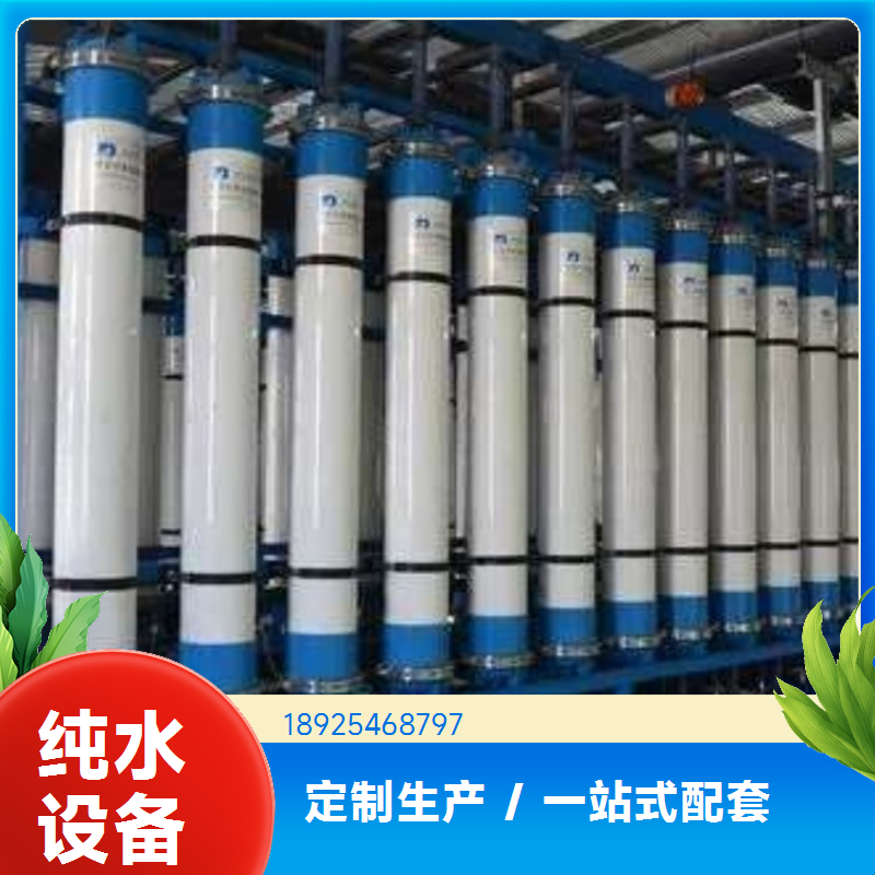 天宇环保反渗透设备 大型EDI设备超纯水装置 大流量供水 安全高效