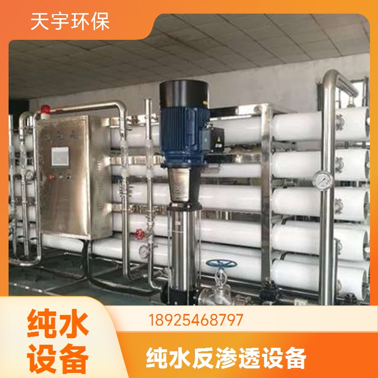 天宇环保工业反渗透纯水设备水处理超纯水ro一体化去离子水设备