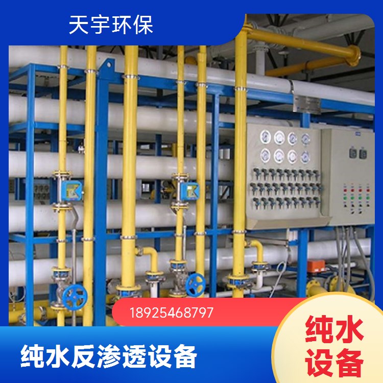 天宇环保源头工厂批发二级反渗透设备 效率高 运行稳定