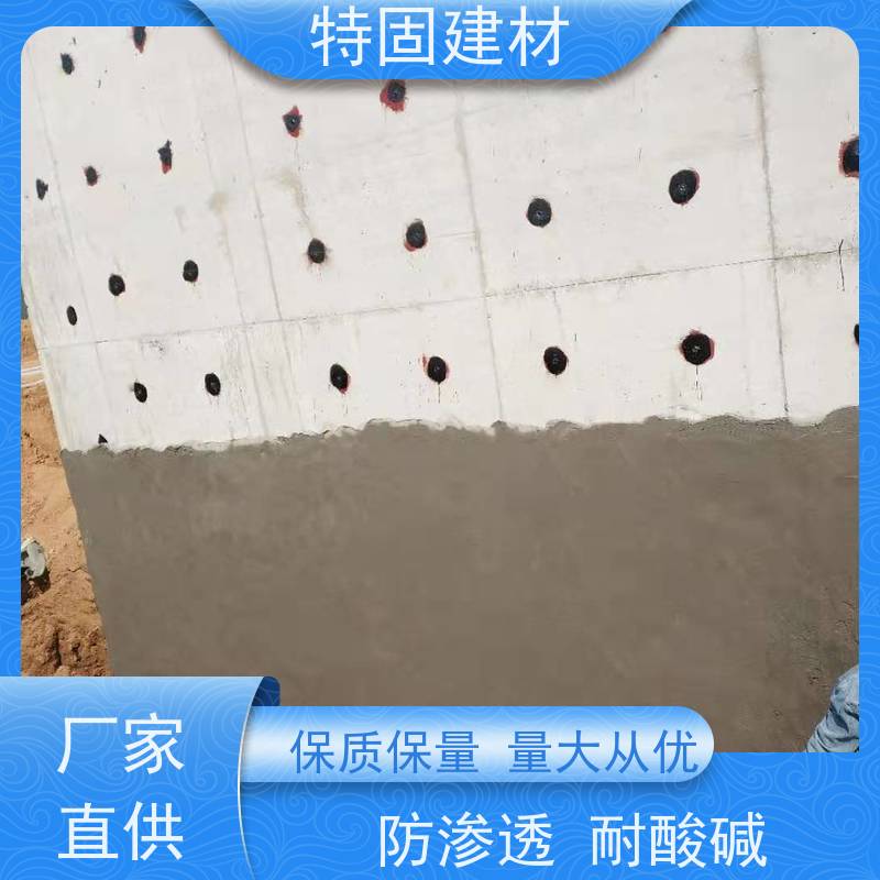 防水防腐砂浆 防渗透耐酸碱 厂家直供 特固建材
