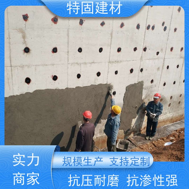 聚合物修补砂浆 抗渗性强 产地货源 常年供应 特固新型建材