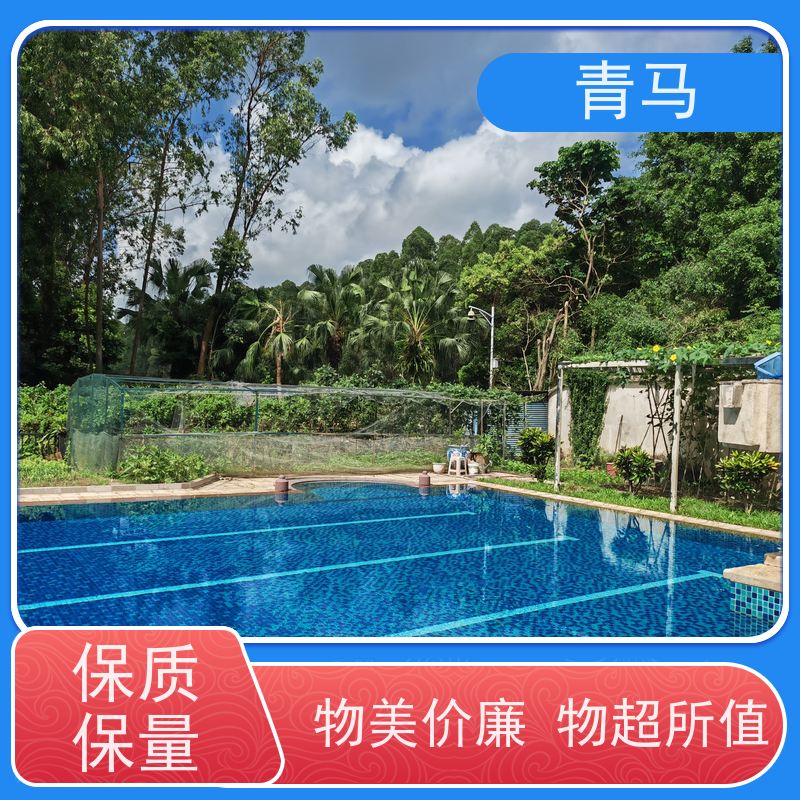 青马 成人泳池 适用于体育馆 按需定制 免费测量