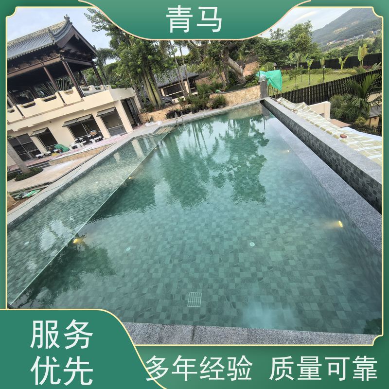 青马 景观泳池 适用于健身俱乐部 现代简约 多种颜色