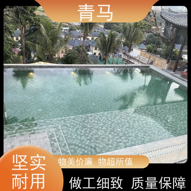 青马 学校游泳池 适用于星级酒店 设计 施工 维护 一站式服务