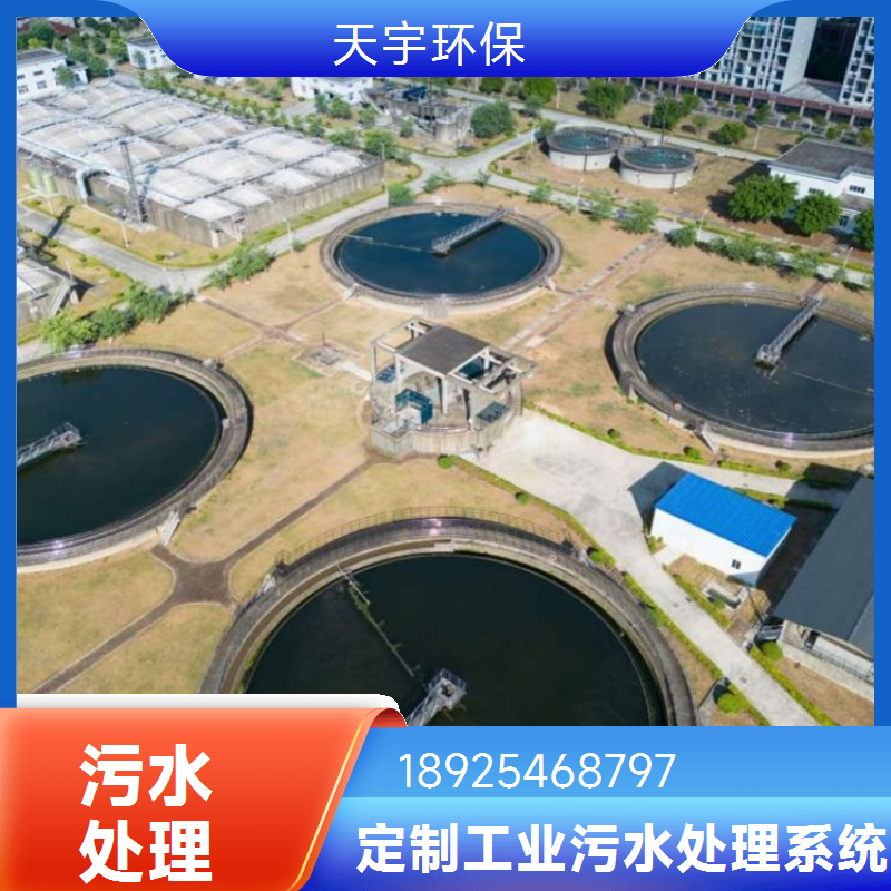 EDI反渗透去离子水设备 高效制水 天宇环保供应高效率低能耗装置