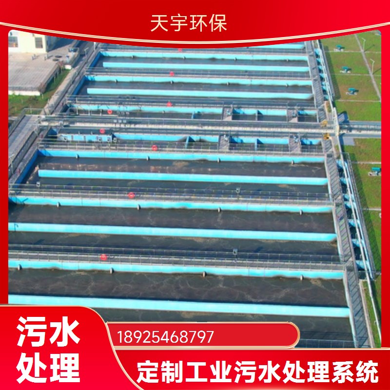 双级反渗透纯净水设备 工业水处理装置 全自动运行
