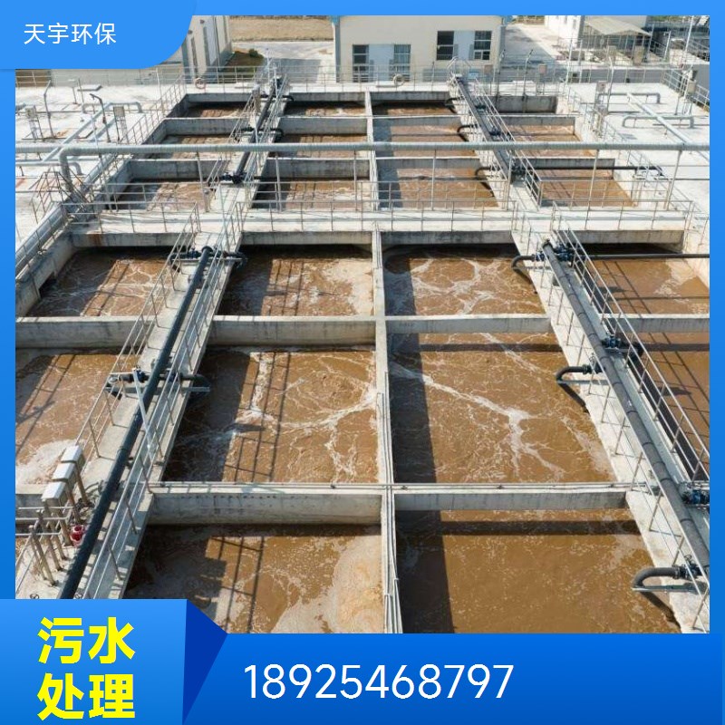 自动加药装置 天宇环保厂家 生活污水处理 循环水加药设备 坚实耐用