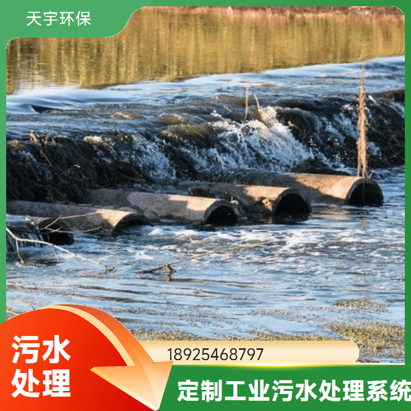 天宇环保 反渗透净水设备 高效节能 循环冷却 不锈钢材质