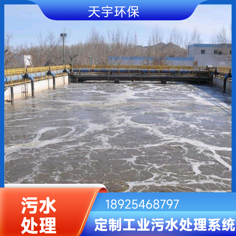 反渗透除水垢软化水设备免费安装指导 天宇环保