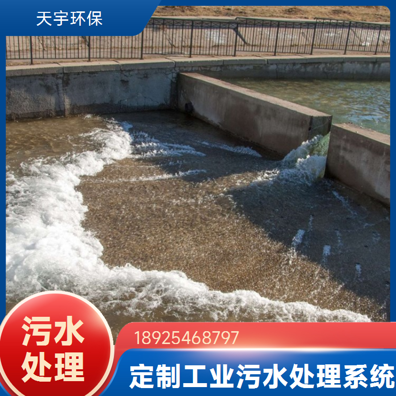 生物制药纯化水设备 不锈钢材质 多种规格可选 天宇环保按需定制