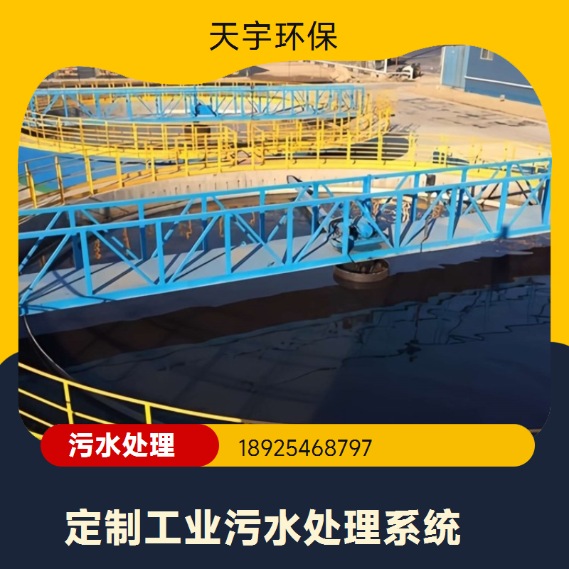 高效除盐EDI设备 电渗析离子交换 节能环保 电子/实验室适用 天宇环保