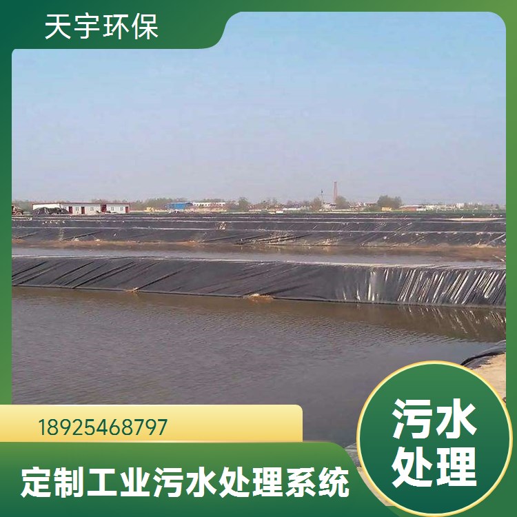 天宇环保水处理 实验室纯化水设备 RO反渗透设备厂家 全自动控制