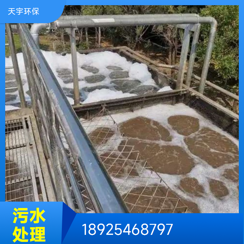 天宇环保 全自动加药装置 干粉投加加药设备 一站式服务周到