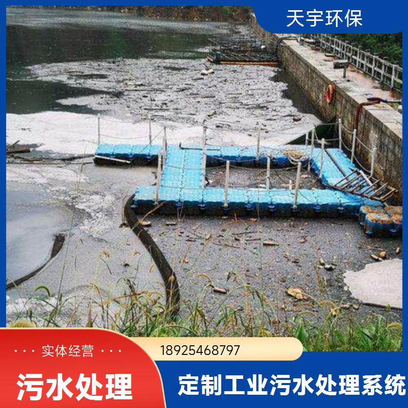 天宇环保EDI设备 透水量大 微电脑控制 自动化程度高