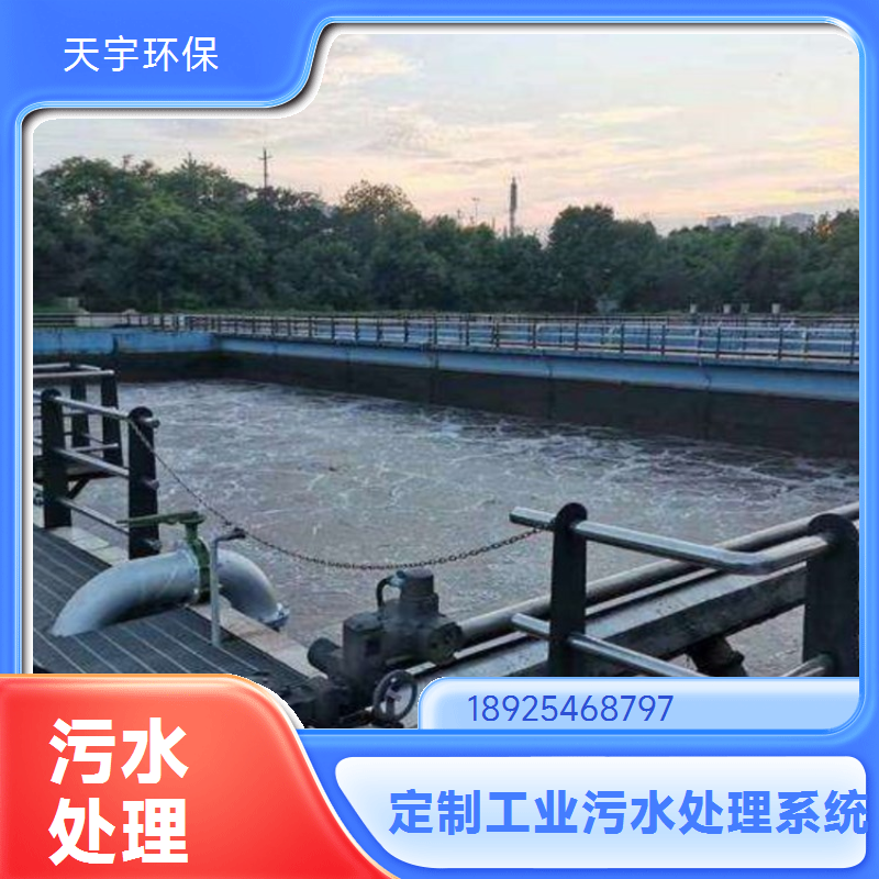 全自动加药装置 天宇环保智能水处理加药设备 运行稳定耐用