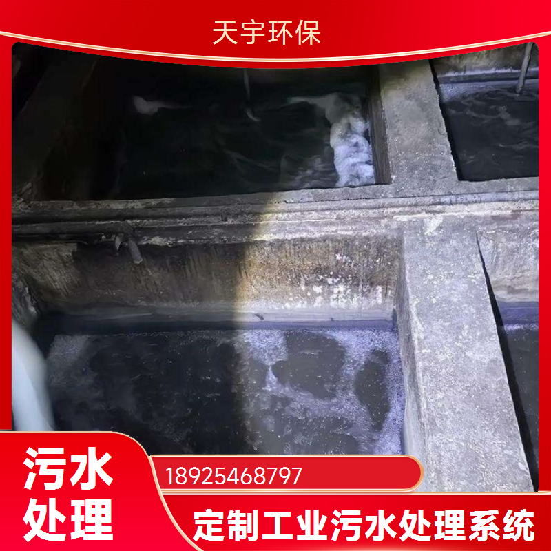 天宇环保 大型反渗透除盐水设备工业反渗透处理装置
