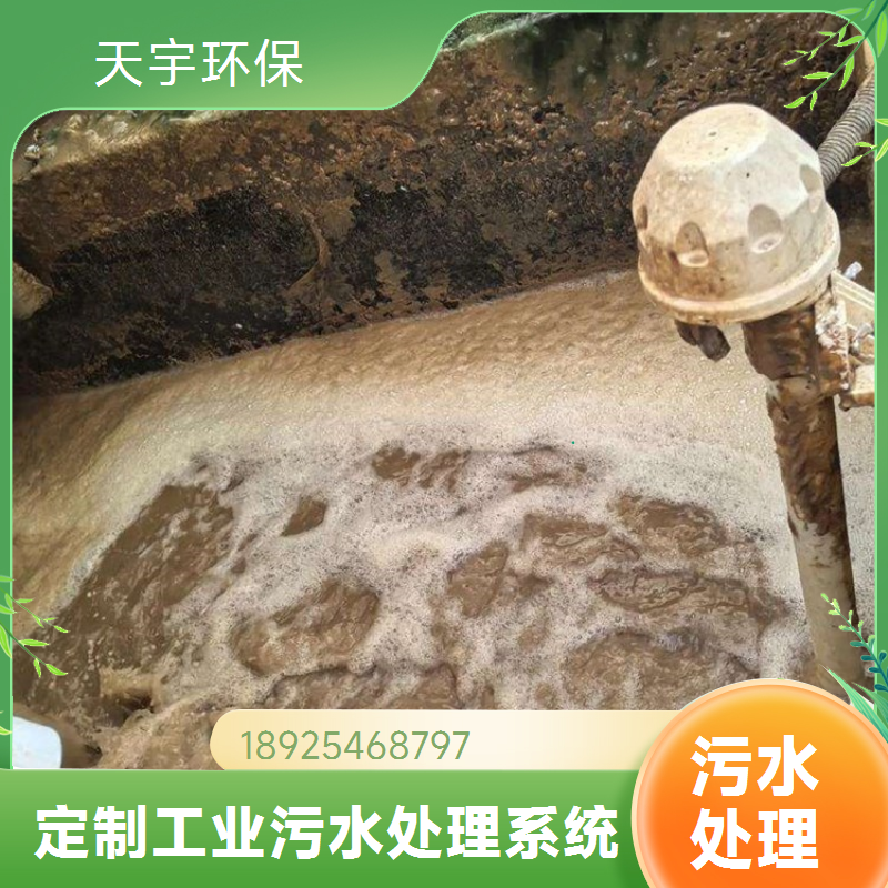 去离子水设备 小型商用纯饮水装置 安装便捷 天宇环保