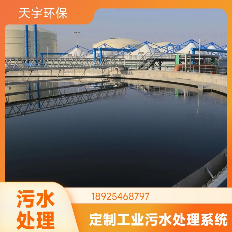 工业商用去离子纯净水处理设备 地下水自来水均可适用 天宇环保厂家