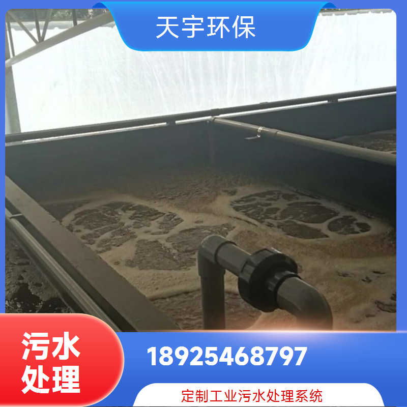 反渗透纯净水设备 大型工业水处理装置 天宇环保