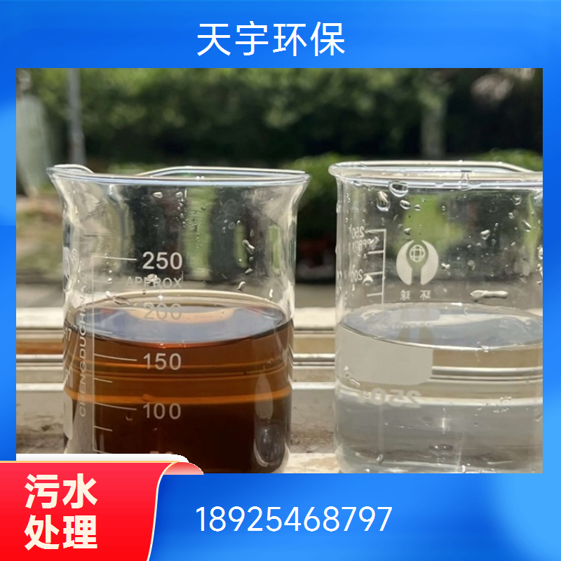 天宇环保自动加药装置 一体化全自动加药设备 不锈钢材质耐腐蚀