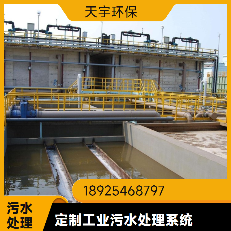 厂家直供反渗透设备 RO纯化水装置 大型净水设备定制 天宇环保