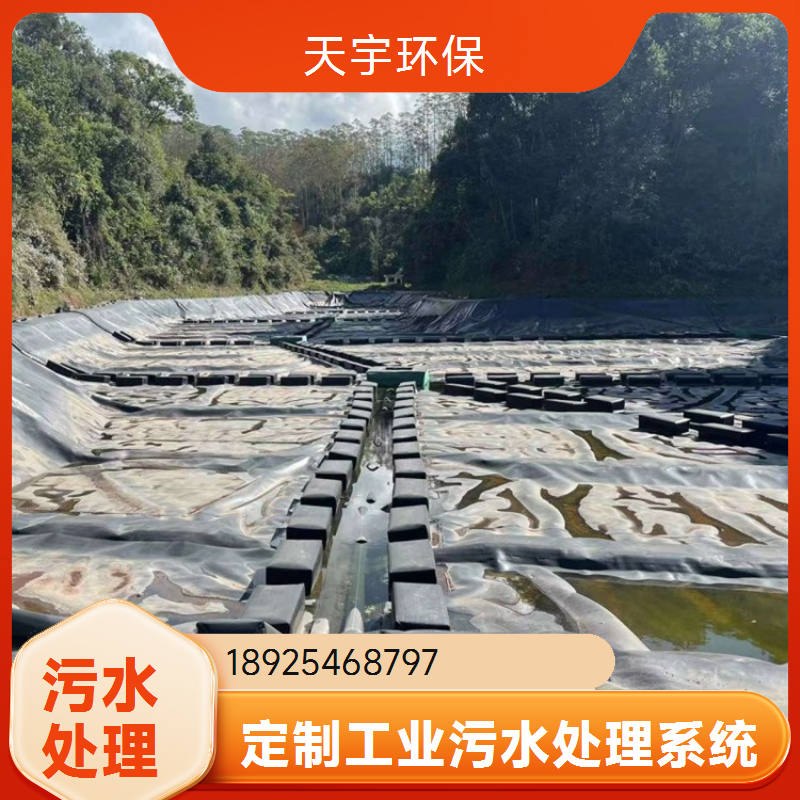 天宇环保RO反渗透超滤设备 纯净水饮用水净化设备 可按需定制