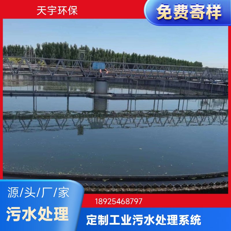 10吨软化水设备 全自动软化水处理器 定制加工 天宇环保