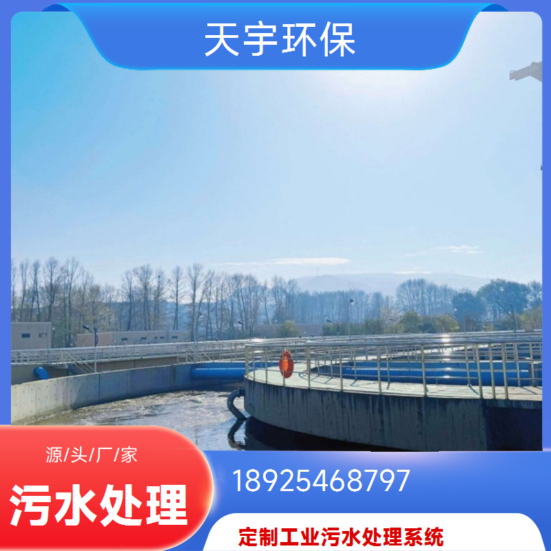 大型EDI工业反渗透水处理设备 天宇环保可指导安装 售后无忧