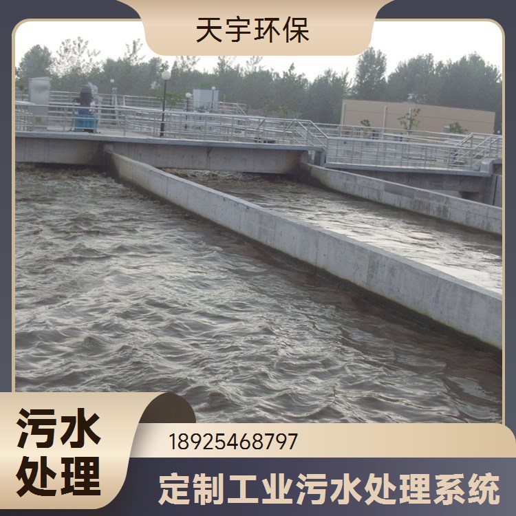反渗透水处理设备 工业纯净水装置 厂家直供 天宇环保
