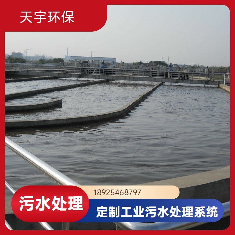 天宇环保纯净水生产设备 水处理设备 去离子装置 安装方便维护简单