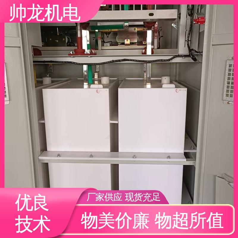 笼型/鼠笼电机 快速响应 一站式服务 高压起动器 帅龙