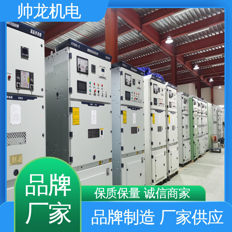 湖 北帅龙 环网柜 6kv高压 耐磨耐用 性能稳定 厂家直供 可定制
