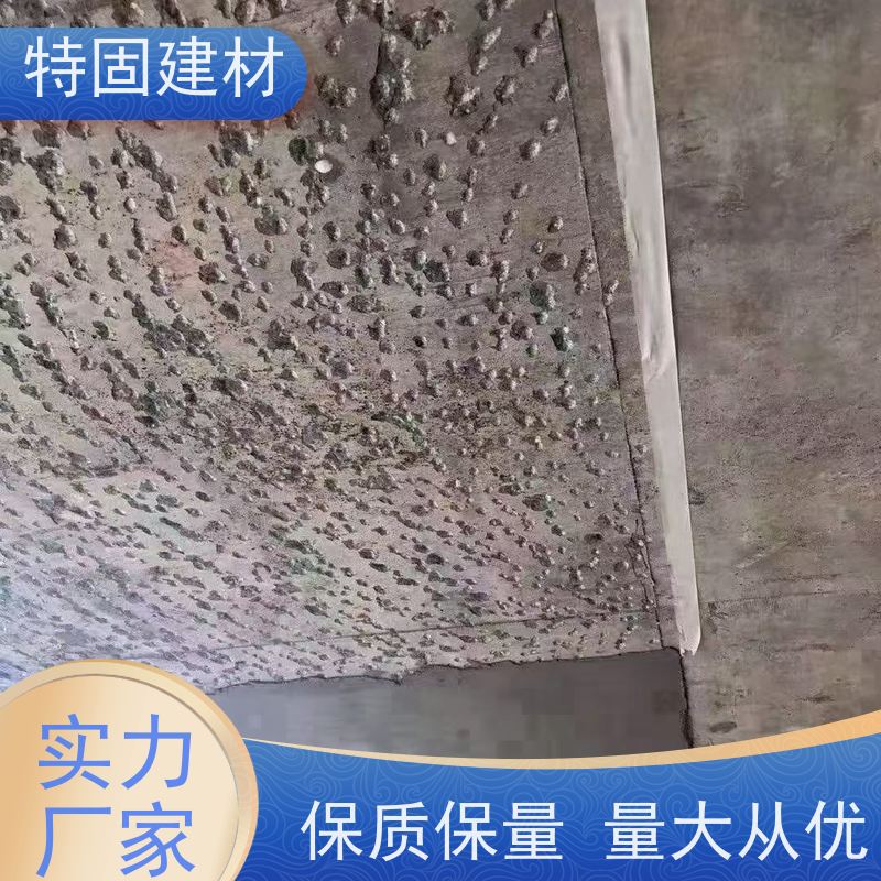 环氧树脂修补砂浆 高强度抗压 免费指导 源头工厂 特固新型建材