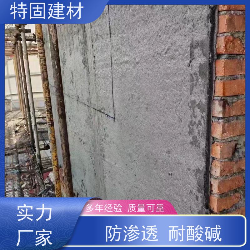 水性环氧树脂砂浆 墙面修补加固 长期生产供应 特固建材