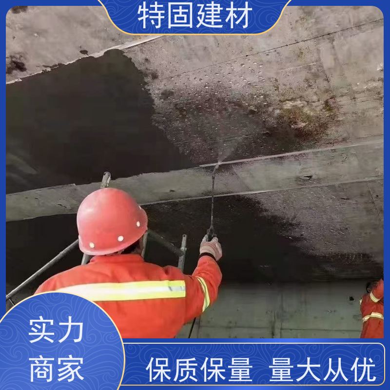 聚合物修补砂浆 高流态耐腐蚀 免费指导 源头工厂 特固建材