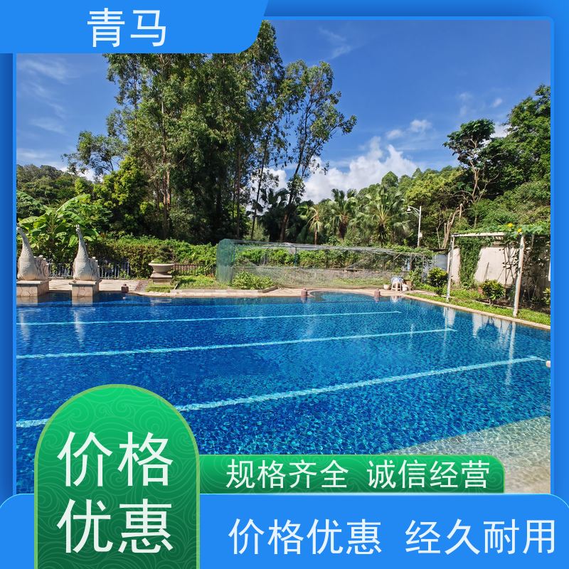青马 室内游泳池 适用于健身俱乐部 现代简约 多种颜色