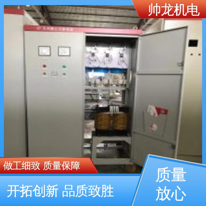 可就地补偿 进相器 可贴牌 售后服务好 低压绕线电机 帅龙