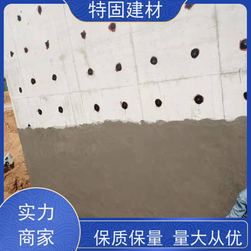 环氧树脂修补砂浆 适应性强 厂家直供 特固新型建材