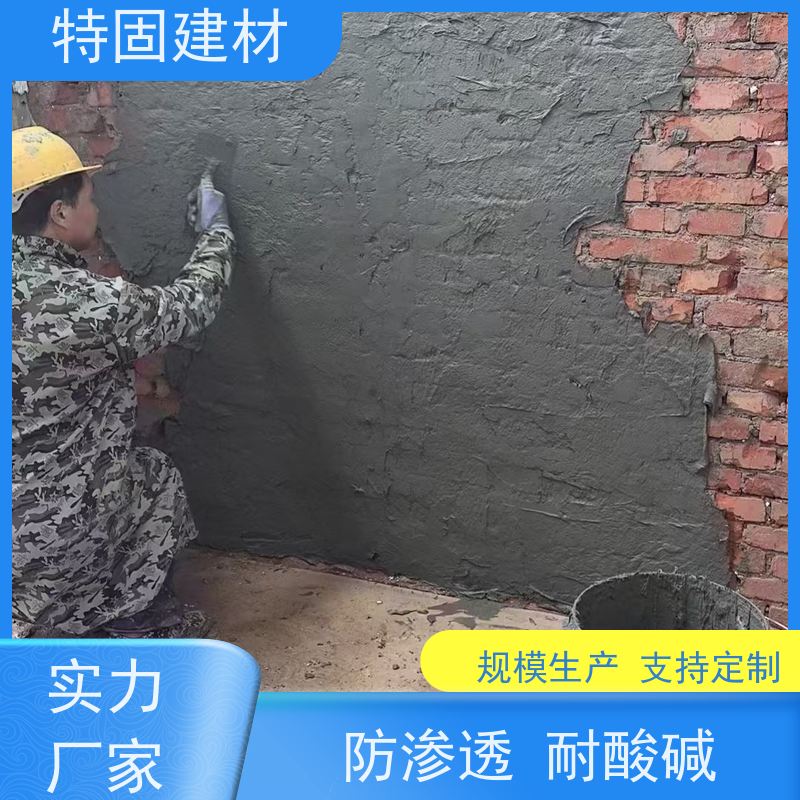 聚合物防水砂浆 抗渗性强 工厂供应 发货及时 特固建材