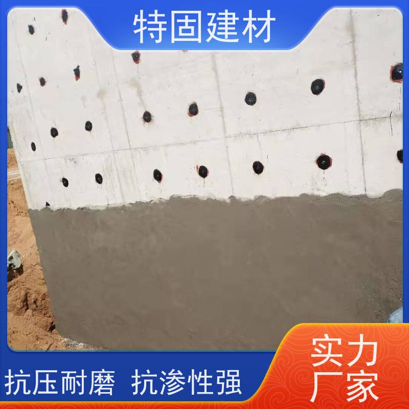 防水防腐砂浆 流动性能强 规格齐全 生产厂家 特固建材