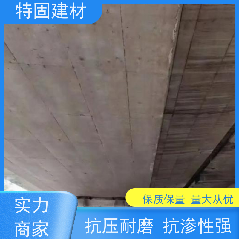 聚合物防水砂浆 抗渗性强 免费指导 源头工厂 特固建材