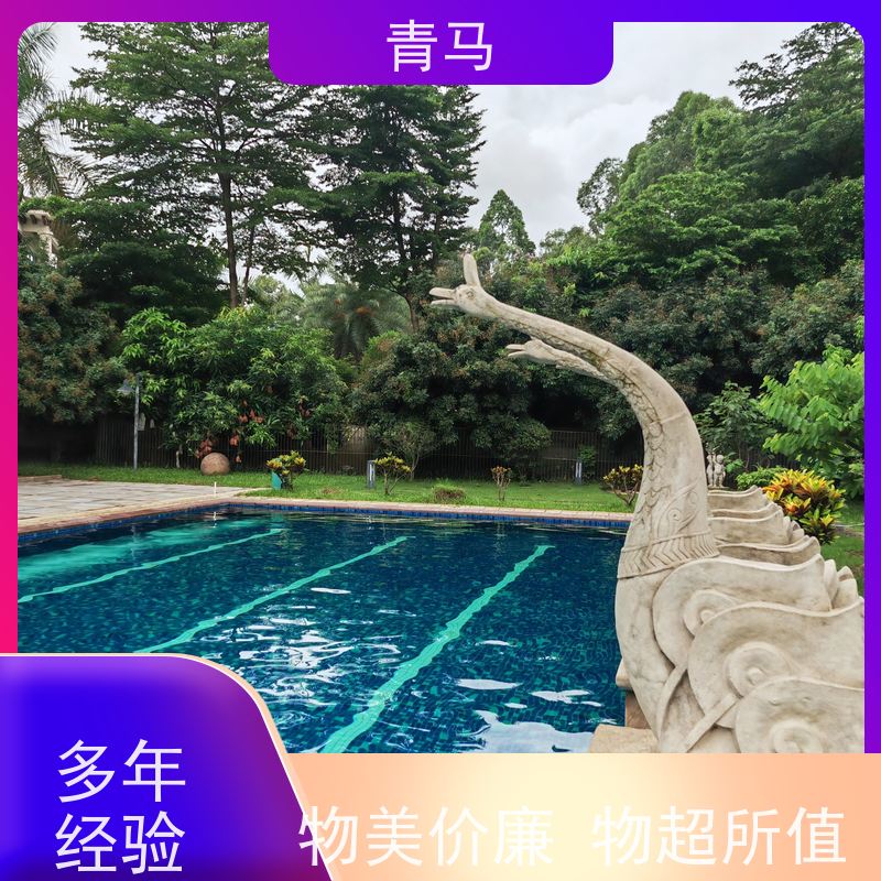 青马 公共游泳池 适用于星级酒店 按需定制 免费测量